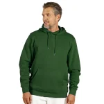 ABSOLUT HOODY Zelena